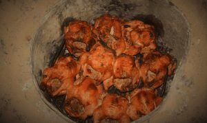 اشهر اكلات واحة سيوة