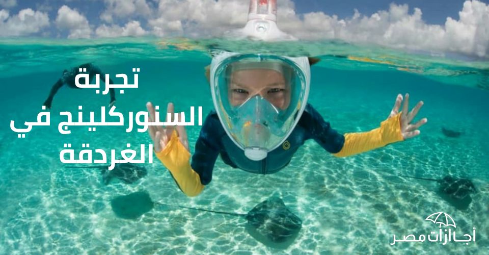 تجربة السنوركلينج في الغردقة: مغامرة بحرية ساحرة لكل أفراد العائلة تجربة السنوركلينج في الغردقة