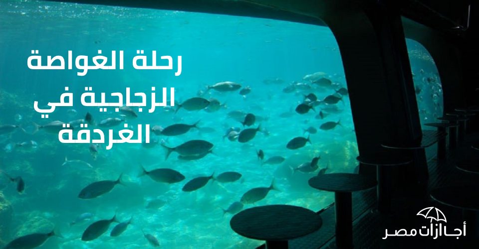 رحلة الغواصة الزجاجية في الغردقة