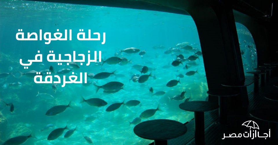 حلة الغواصة الزجاجية في الغردقة: مغامرة لا تُنسى في أعماق البحر الأحمر – اجازات مصر