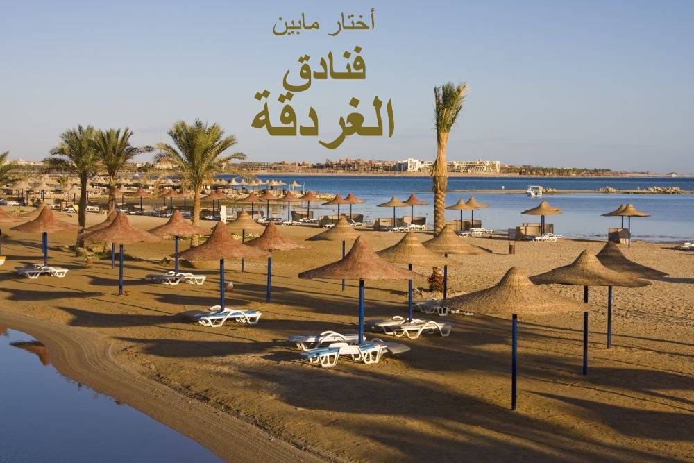 الرئيسية